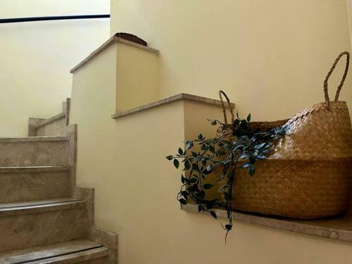 Apartamento �tico Joaqu�n Costa 15 Alameda de H�rcules