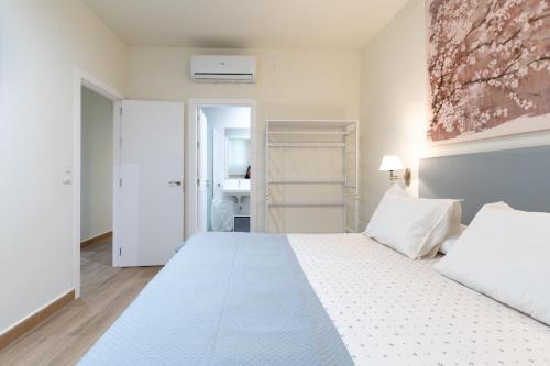 Apartamentos Cervantes 17