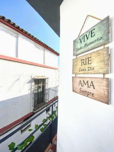 Luminoso Apartamento Centro Triana