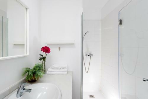 Lepanto Premium Apartments