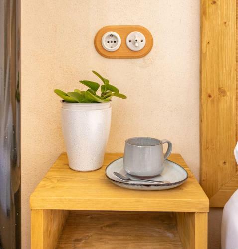 New! Ohliving Alfalfa Square