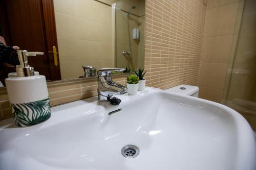 Apartamento Do�a Concha Alameda