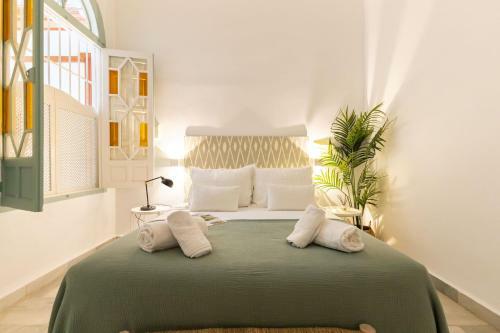 Apartamento New! Ohliving Salvador Square