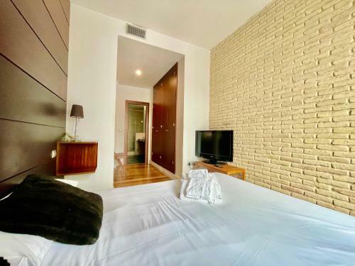 Apartamento Caracol Suite - 2 Dormitorios