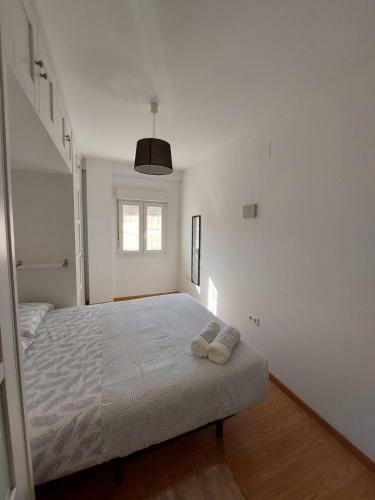 Sirena Center Apartment