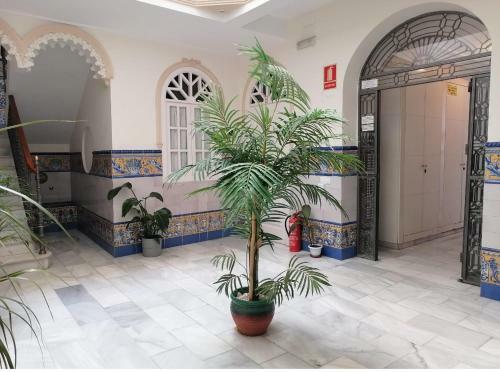 Hostal Santillana Terrazas