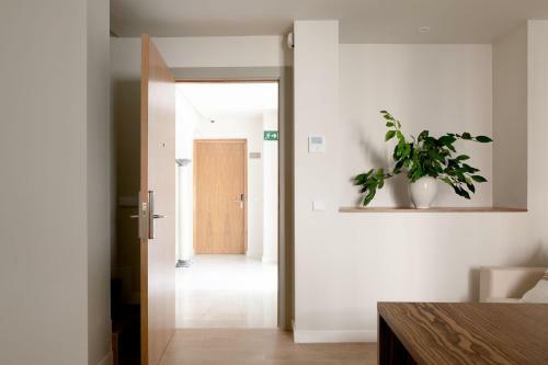 Apartamento Hommyhome Duque de Veragua