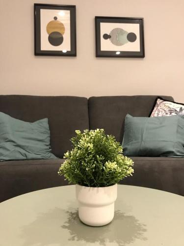 Apartamento En Triana: Junto San Jacinto Parking Opcional