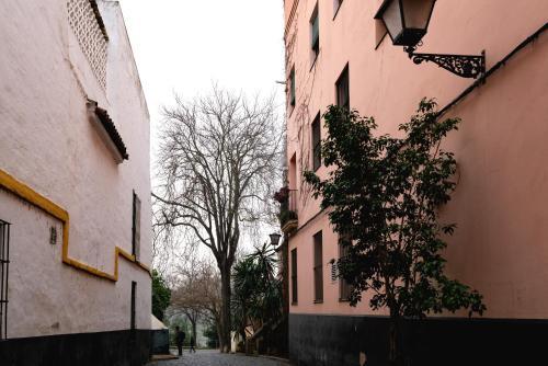 Apartamento Castilla 61