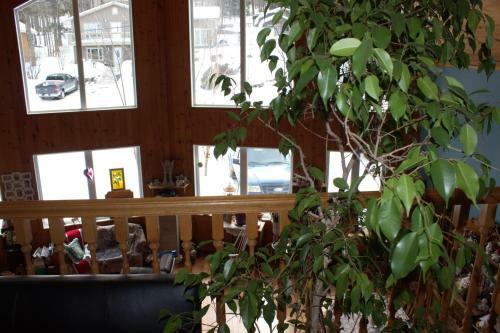 Bed & Breakfast Le Gite A Margot