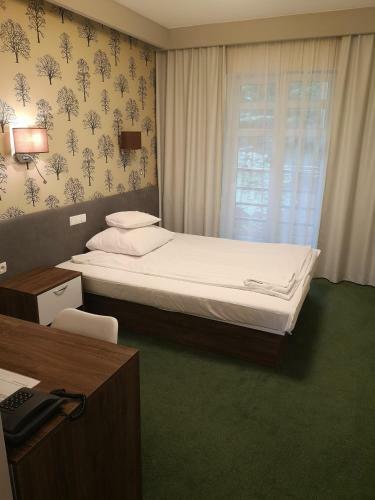 Hostal Hotel Le?ny
