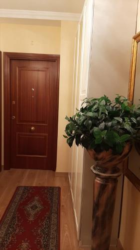 Apartamento Cedit�n
