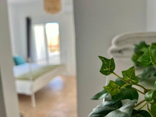 Apartamento Rinc�n Del Sol