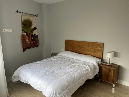Apartamento Salgeta Reformado Amplio Y Acogedor Con Wifi