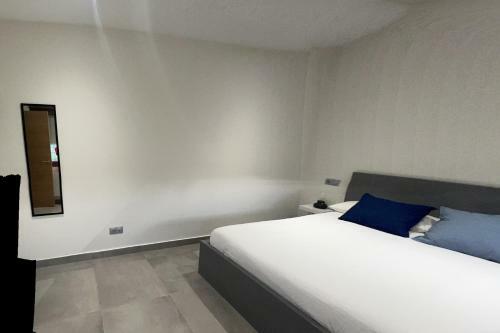 Apartamentos El Roju