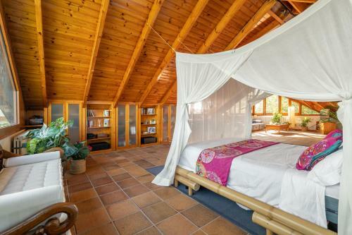 Villa Barcelona�s Tropical Oasis