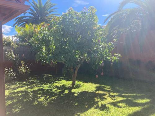 Hostal Xanadu Coliving