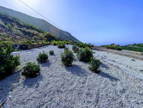 Cliff Haven Sea View Apartment - Adults Only