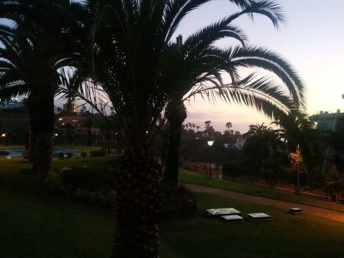 Apartamento Acogedor Vistas Piscina Y Teide