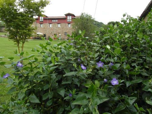 Albergue La Torre