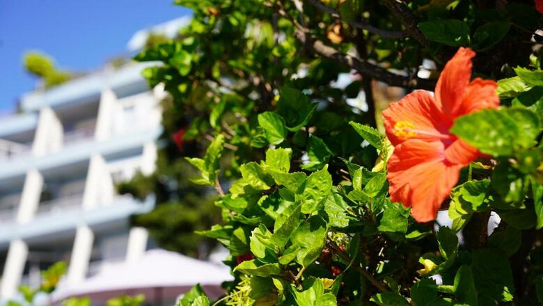Apartamento Coral La Quinta Park Suites