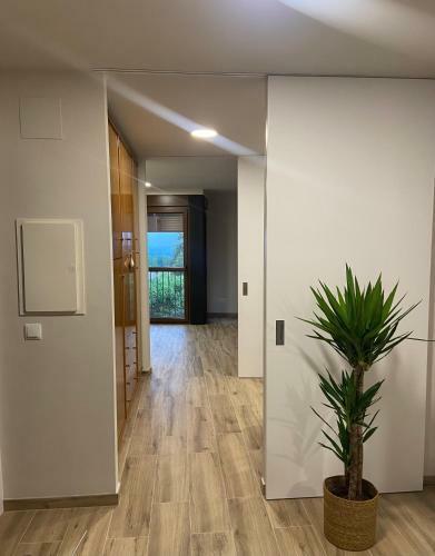 Apartamento El Pis Del Centre