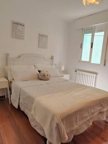 Casa R�o Sar