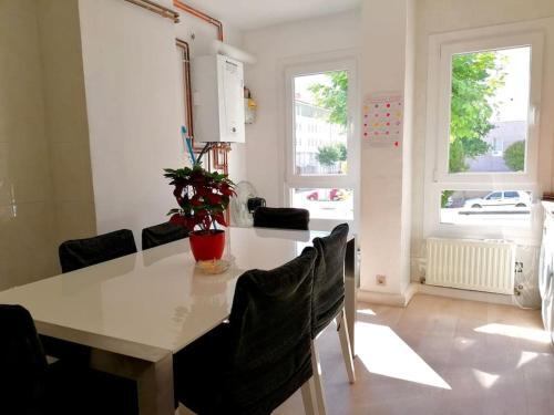 Apartamento Piso Nuevo Y Moderno