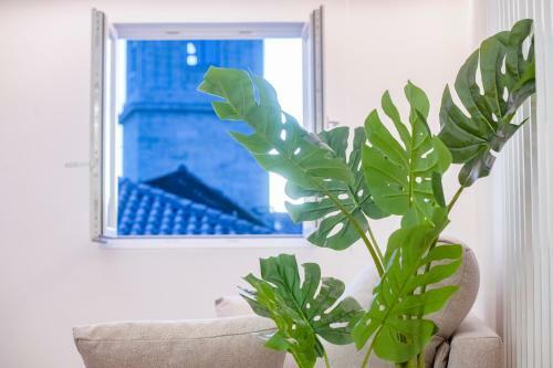 Apartamentos Atia Catedral