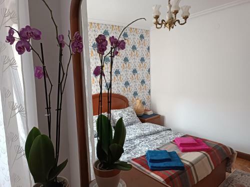Apartamento Centro. Bah�a. Estaciones.