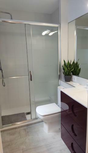 Apartamento C�ntrico Y Pr�ximo Playas