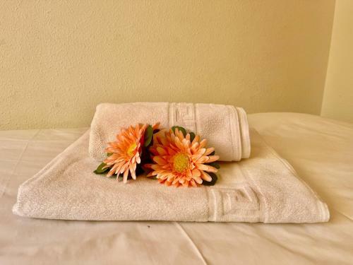 Apartamento Costa Hispania House By Gloove