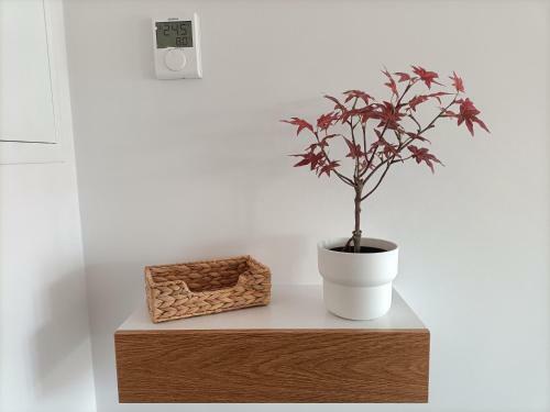 Precioso Apartamento Nuevo C�ntrico En Santander