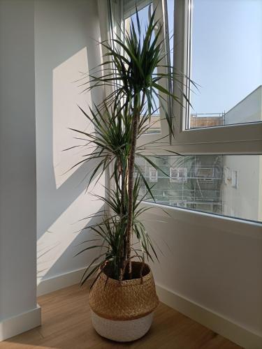 Precioso Apartamento Nuevo C�ntrico En Santander