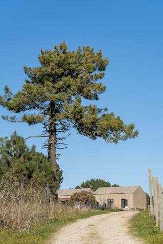 Itacahomes Casa Noro