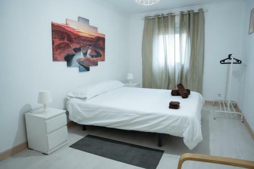 City Town Apartment