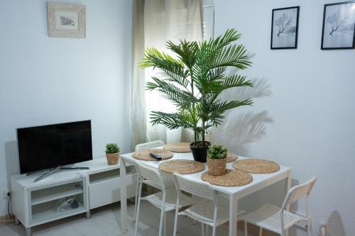 City Town Apartment