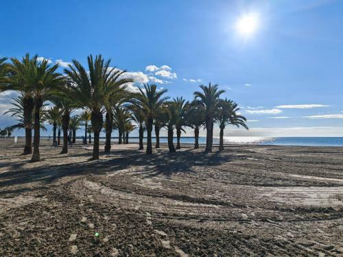 Apartamento San Pedro Con Ascensor Y Recogida