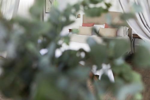 Le Petit Apartamentos