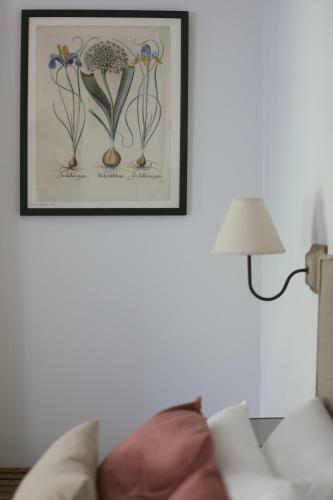 Le Petit Apartamentos