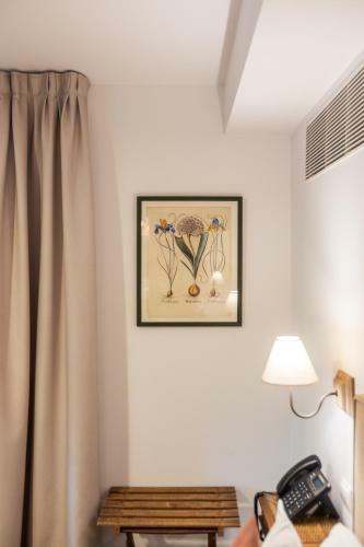 Le Petit Apartamentos