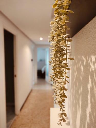Apartamento Dolores Beach Home