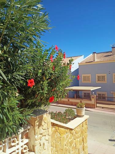 Apartamento Nice Place Santa Pola