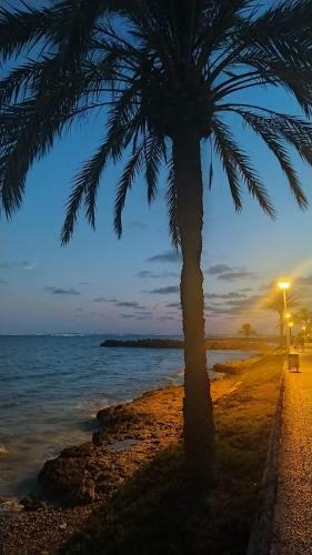 Apartamento Nice Place Santa Pola