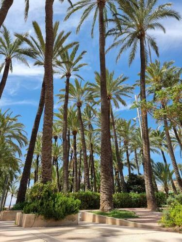Apartamento Bolivia Sea View Santa Pola