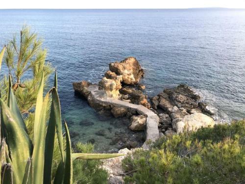 Villa Tamaris