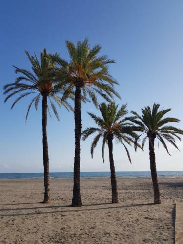 Apartamento �tico Pola
