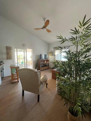 Apartamento Rose?s House