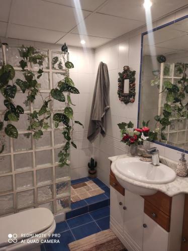 Maravilloso Apartamento