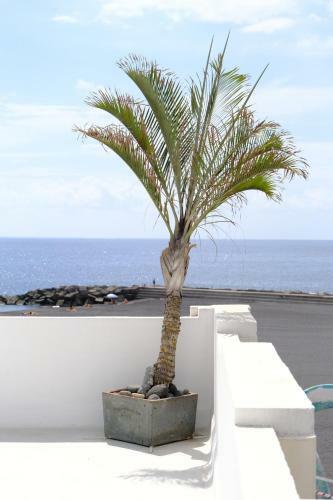 Rooftop Dreamhouse - 3br With Seaviews